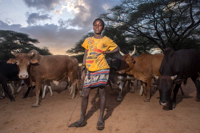 Lchekutis, Maasai Child Shepherds